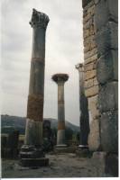 10 Volubilis.jpg